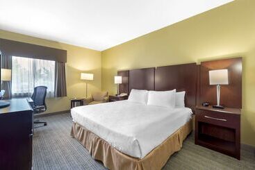هتل Best Western Plus Plaza By The Green
