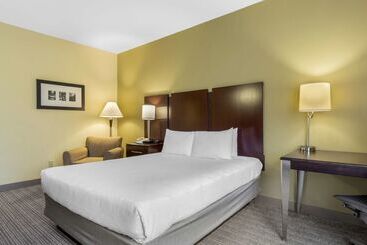 هتل Best Western Plus Plaza By The Green