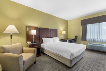 هتل Best Western Plus Plaza By The Green