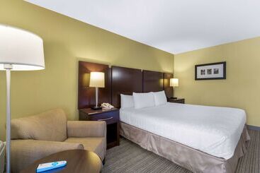 هتل Best Western Plus Plaza By The Green