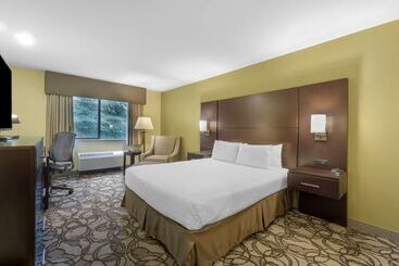 هتل Best Western Plus Plaza By The Green