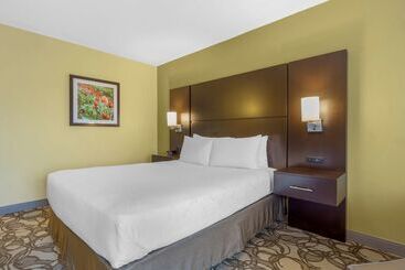 هتل Best Western Plus Plaza By The Green