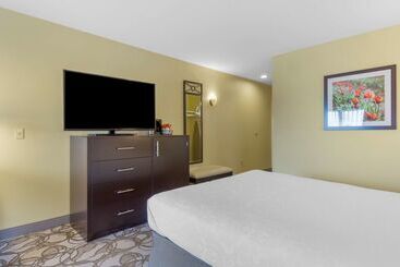 هتل Best Western Plus Plaza By The Green