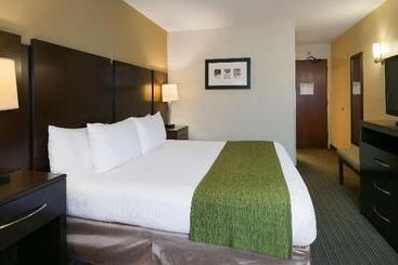 هتل Best Western Plus Plaza By The Green