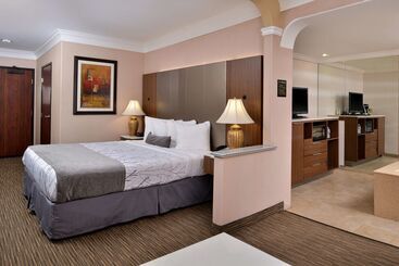 Best Western Plus Suites Hotel   Los Angeles Lax Airport
