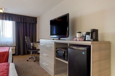هتل Best Western Plus Village Park Inn