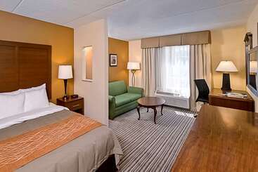 هتل Comfort Inn At The Park