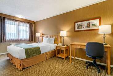 هتل Econo Lodge Inn & Suites