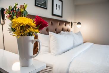 هتل Four Points By Sheraton Allentown Lehigh Valley