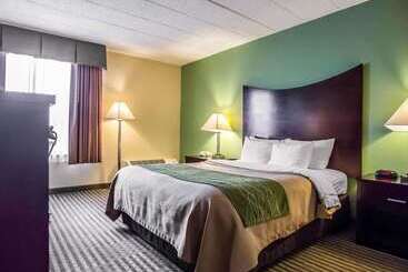 ホテル Quality Inn Mill Hall   Lamar