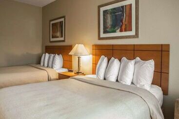 هتل Quality Inn Near I72 And Hwy 51