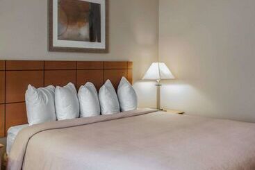 هتل Quality Inn Near I72 And Hwy 51