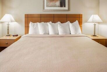 هتل Quality Inn Near I72 And Hwy 51