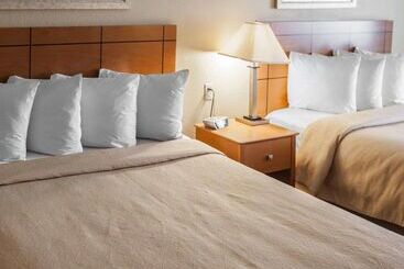 هتل Quality Inn Near I72 And Hwy 51