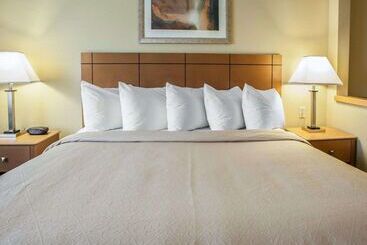 هتل Quality Inn Near I72 And Hwy 51