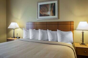 هتل Quality Inn Near I72 And Hwy 51