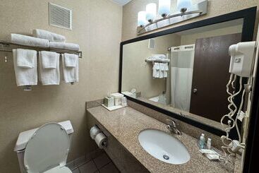 هتل Quality Inn Near I72 And Hwy 51