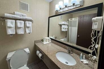 هتل Quality Inn Near I72 And Hwy 51