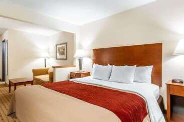 酒店 Quality Inn & Suites