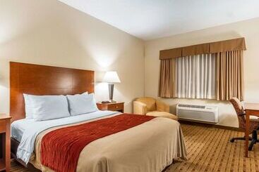 酒店 Quality Inn & Suites