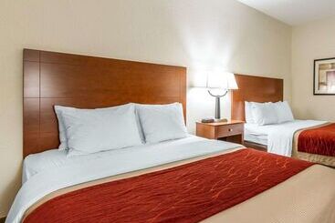 酒店 Quality Inn & Suites