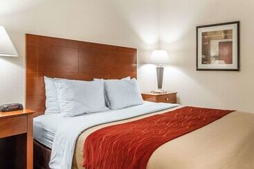 酒店 Quality Inn & Suites