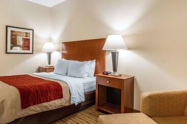 酒店 Quality Inn & Suites