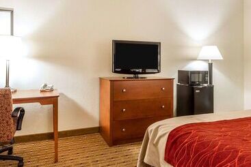 酒店 Quality Inn & Suites