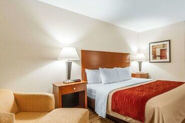 酒店 Quality Inn & Suites