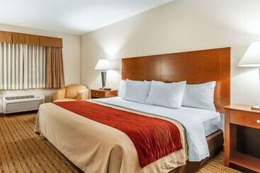 酒店 Quality Inn & Suites