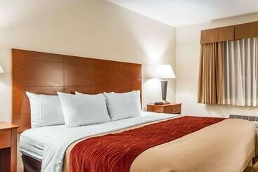 酒店 Quality Inn & Suites