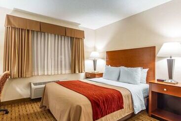 酒店 Quality Inn & Suites