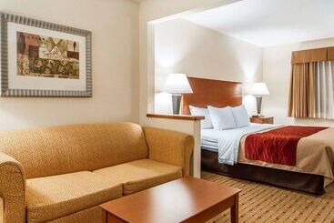 酒店 Quality Inn & Suites