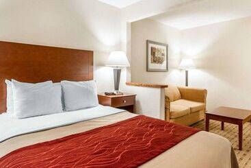 酒店 Quality Inn & Suites