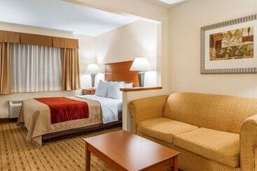酒店 Quality Inn & Suites