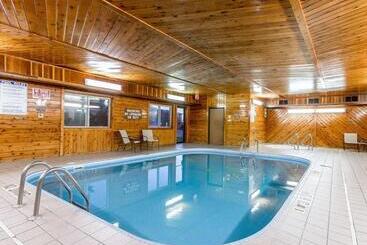 酒店 Quality Inn & Suites