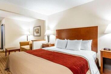 酒店 Quality Inn & Suites