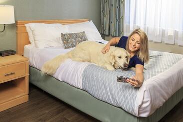 هتل Accent Inns Kelowna