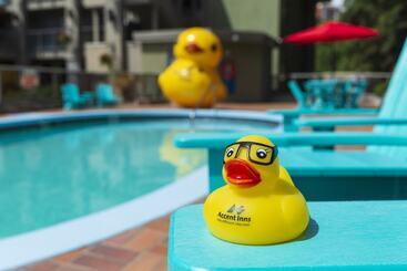 هتل Accent Inns Kelowna