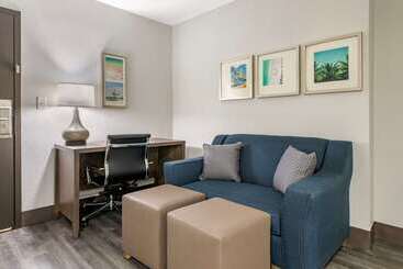 هتل Comfort Inn & Suites Downtown Brickell Port Of Miami