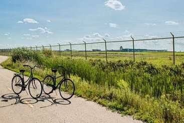 هتل Hilton Winnipeg Airport Suites