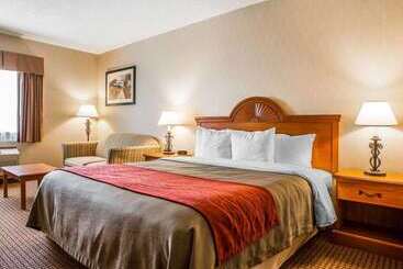 Отель Quality Inn