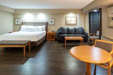 Royal Hotel West Edmonton, Trademark Collection By Wyndham