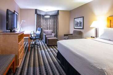 Royal Hotel West Edmonton, Trademark Collection By Wyndham