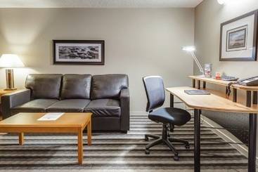 Royal Hotel West Edmonton, Trademark Collection By Wyndham