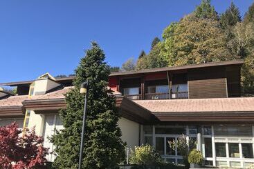 هتل Budget Rooms Gstaad