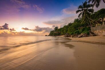 Coco De Mer Hotel And Black Parrot Suites
