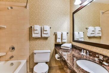 هتل Comfort Inn & Suites Ambassador Bridge