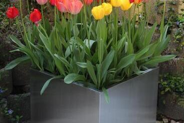 호텔 Tulip Inn Beaulieu Lausanne