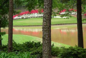 Embassy Suites Greenville Golf Resort & Conference Center